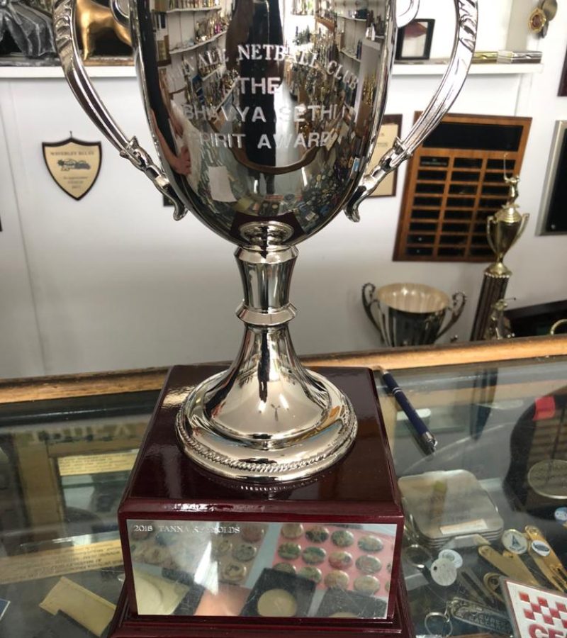 Photograph of the of Highvale Netball Bhavya Sethi Spirit Award trophy